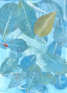 Guava Leaves 3 